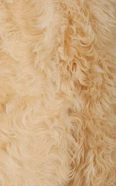 Bottega Veneta Shearling Jacket | Thumbnail 6