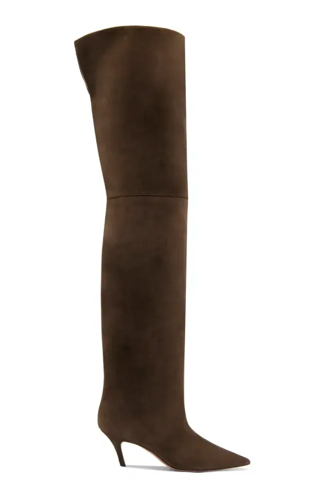Fiona Suede Thigh-High Boots - Brown