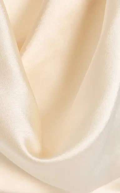 SEV Draped Halter Satin Top | Thumbnail 5