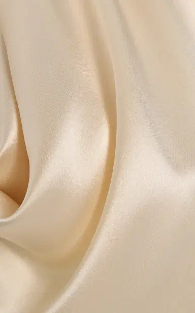 SEV Draped Satin Dress | Thumbnail 9