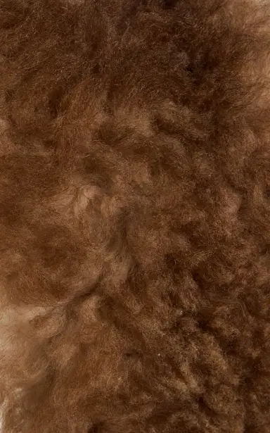 Prada Faux Fur Collar | Thumbnail 3