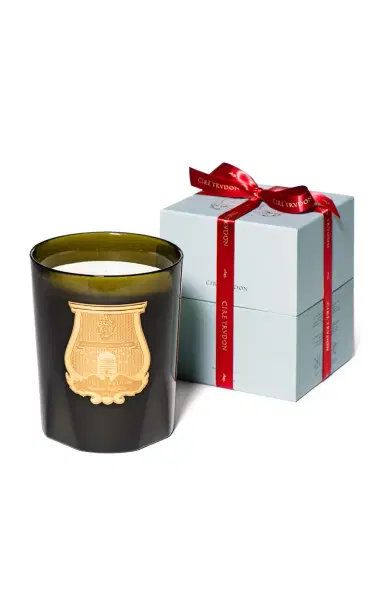Cire Trudon Large Ernesto Candle - Multi | Thumbnail 2