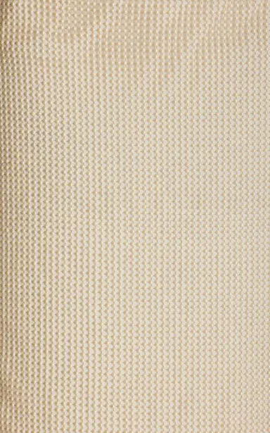 Prada Pearl-Embroidered Mesh Midi Skirt | Thumbnail 5 Prada Pearl-Embroidered Mesh Midi Skirt | Thumbnail 5