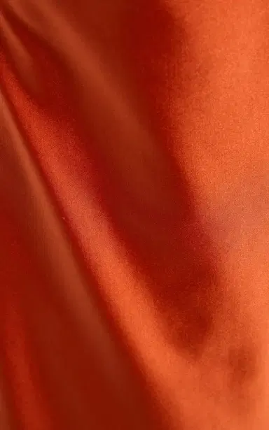 Temily Exclusive Summer Bones Signature Stretch-Satin Maxi Dress | Thumbnail 5