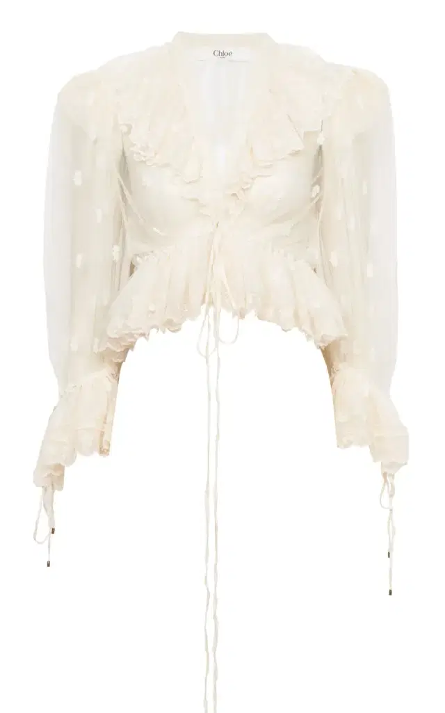 Ruffled Embroidered Lace Top
