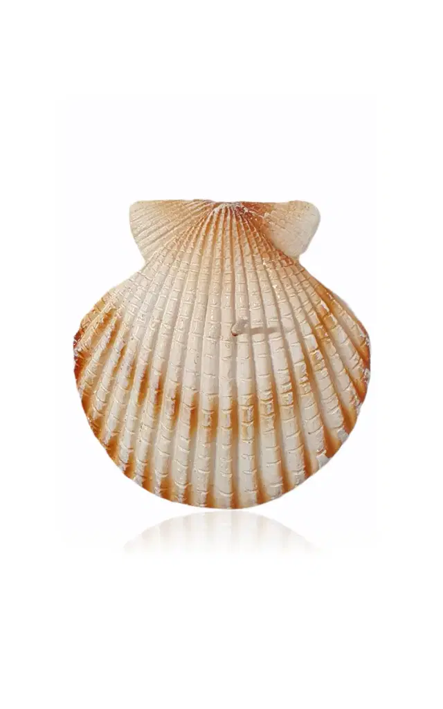 Riviera Scallop Shell Candle - Multi