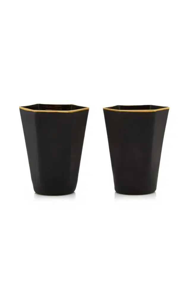 Moda Domus Set-Of-Two Gold-Tipped Matte Glass Tumblers - Black