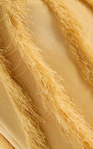 Ulla Johnson Bonnie Sleeveless Fringed Top | Thumbnail 5