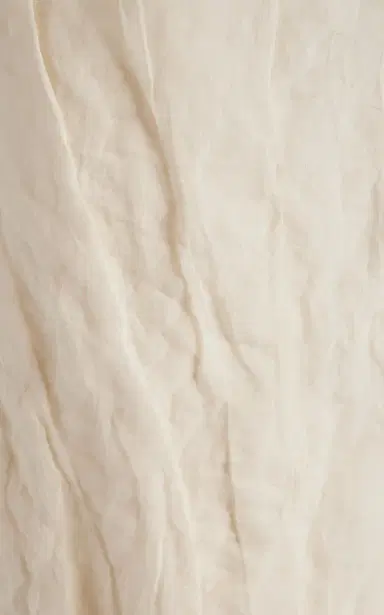 Brandon Maxwell The James Low-Rise Metallic Organza Midi Skirt | Thumbnail 7