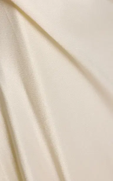 Arcina Ori Helena Chiffon-Detailed Satin Gown | Thumbnail 5