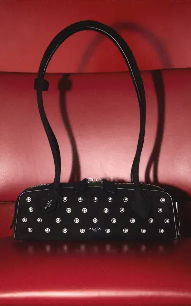 Alaïa Exclusive Le Teckel Small Studded Suede Shoulder Bag | Thumbnail 3