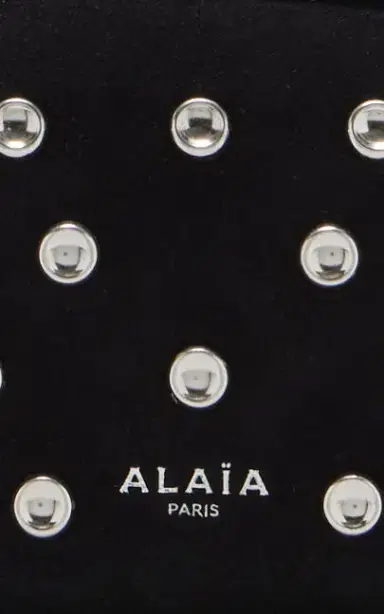 Alaïa Exclusive Le Teckel Small Studded Suede Shoulder Bag | Thumbnail 7