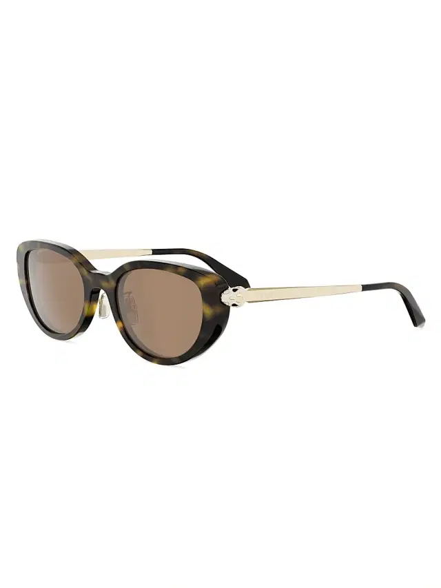 Women's Serpenti Forever 52MM Oval Sunglasses - Dark Havana Brown