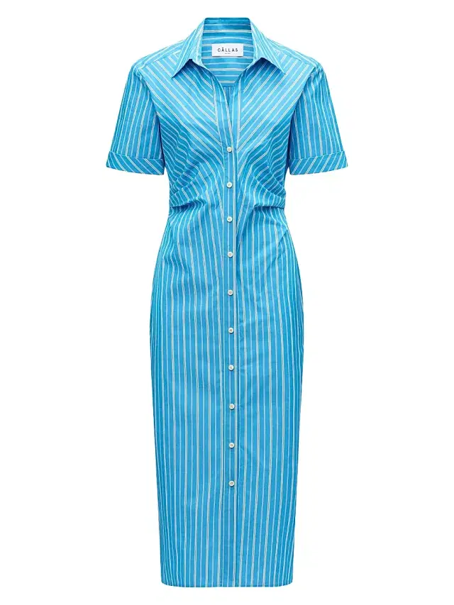 Callas Milano Women's Lou Fitted Shirt Dress - Blue Stripe