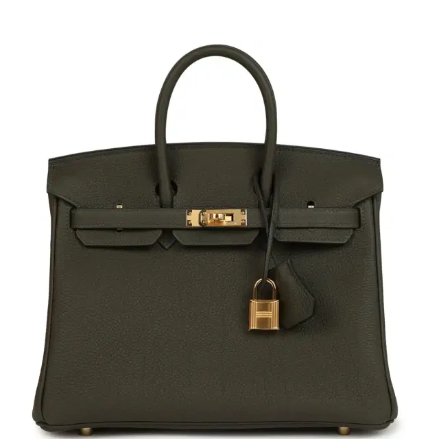 hermes Hermes Birkin 25 Vert de Gris Togo Gold Hardware