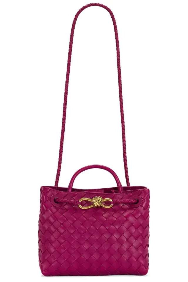 Bottega Veneta Small Andiamo Bag