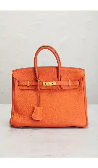 FWRD Renew Hermes Chevre Birkin 25 Handbag | Thumbnail 2 FWRD Renew Hermes Chevre Birkin 25 Handbag | Thumbnail 2