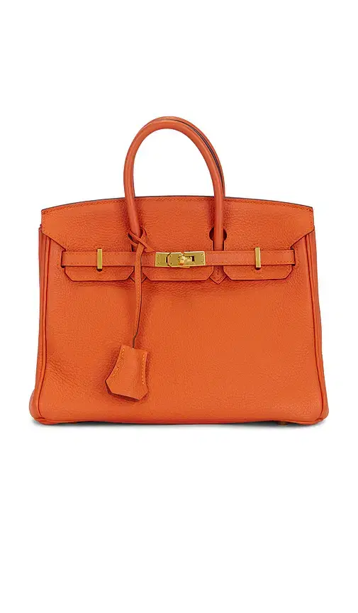 FWRD Renew Hermes Chevre Birkin 25 Handbag