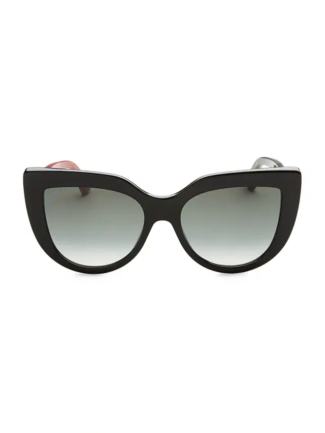 Women's 53MM Colorblocked Arm Cat Eye Sunglasses - Black