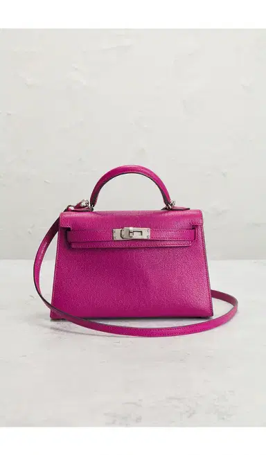 FWRD Renew Hermes Chevre Kelly 20 Handbag | Thumbnail 2 FWRD Renew Hermes Chevre Kelly 20 Handbag | Thumbnail 2