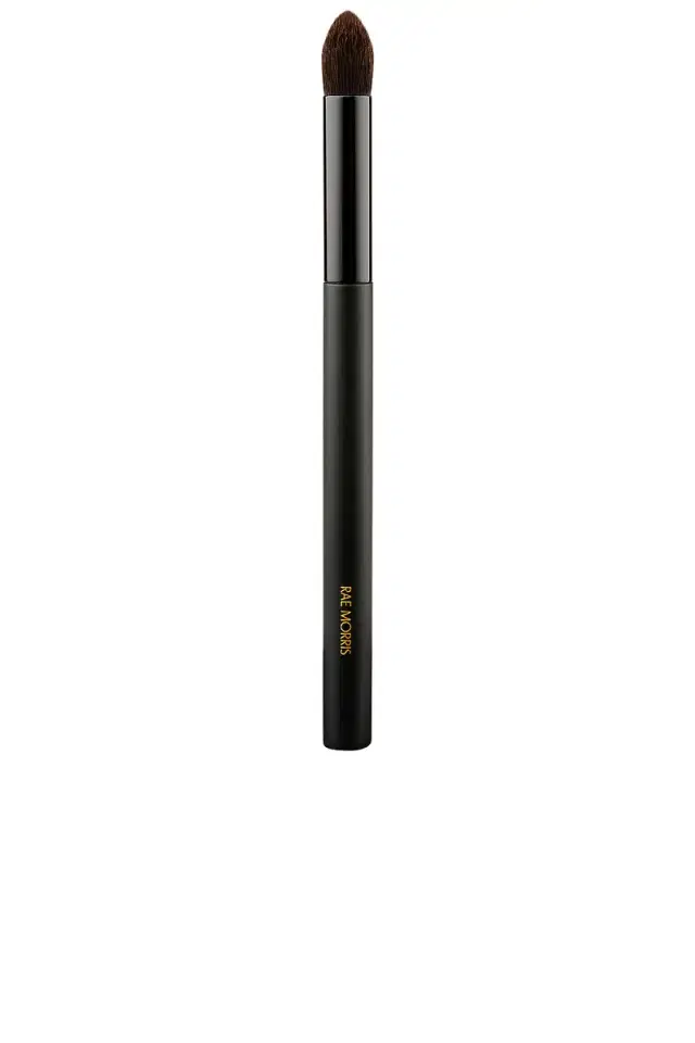 RAE MORRIS Deluxe Point Shader Brush