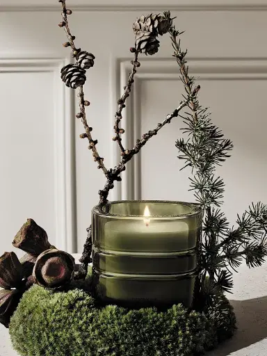 Diptyque Temple des Mousses (Moss Temple) Refillable Candle | Thumbnail 3 Diptyque Temple des Mousses (Moss Temple) Refillable Candle | Thumbnail 3