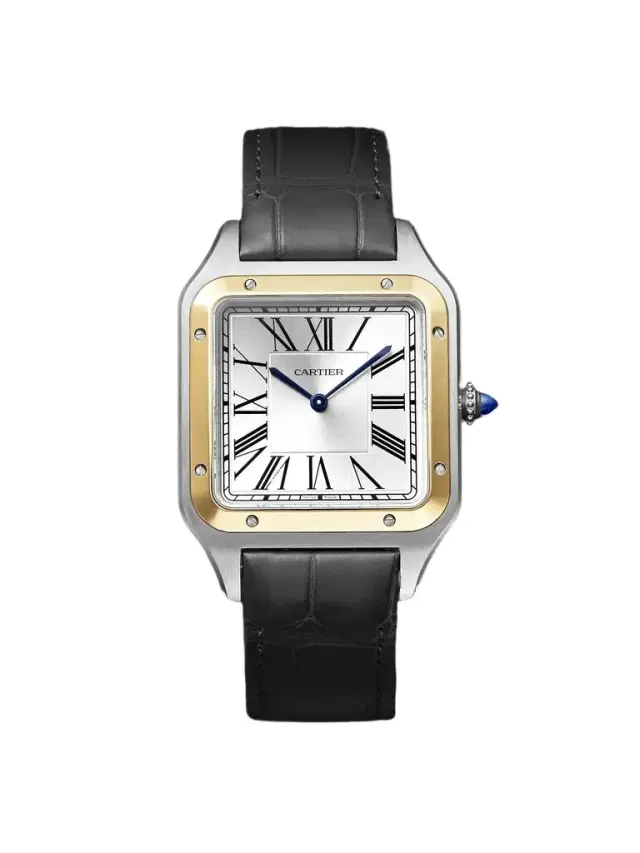 Cartier Santos-Dumont Extra-Large Hand-Wound 18-Karat Gold and Stainless Steel Watch, Ref. W2SA0034 - Men