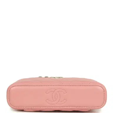 Chanel Chanel Flower Top Handle Long Vanity Case with Chain Pink Lambskin Light Gold Hardware | Thumbnail 6 Chanel Chanel Flower Top Handle Long Vanity Case with Chain Pink Lambskin Light Gold Hardware | Thumbnail 6