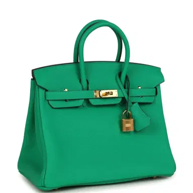 HERMÈS Hermes Birkin 25 Menthe Togo Gold Hardware | Thumbnail 2 HERMÈS Hermes Birkin 25 Menthe Togo Gold Hardware | Thumbnail 2