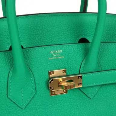 HERMÈS Hermes Birkin 25 Menthe Togo Gold Hardware | Thumbnail 7 HERMÈS Hermes Birkin 25 Menthe Togo Gold Hardware | Thumbnail 7
