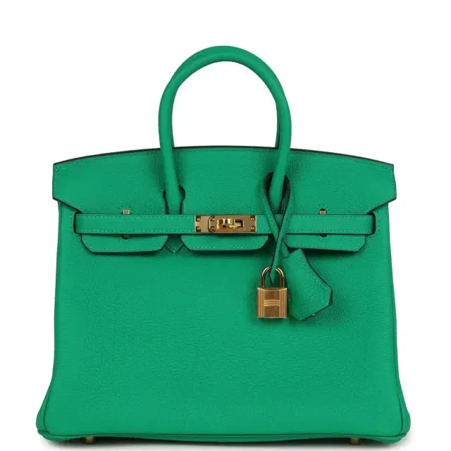 hermes Hermes Birkin 25 Menthe Togo Gold Hardware