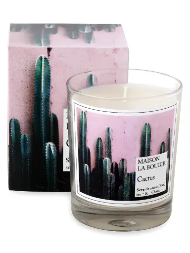Maison La Bougie Cactus Scented Candle | Thumbnail 1 Maison La Bougie Cactus Scented Candle | Thumbnail 1