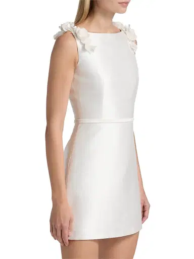 SACHIN & BABI Women's Farah Rose-Appliqué A-Line Minidress - Ivory - Size 8 | Thumbnail 4