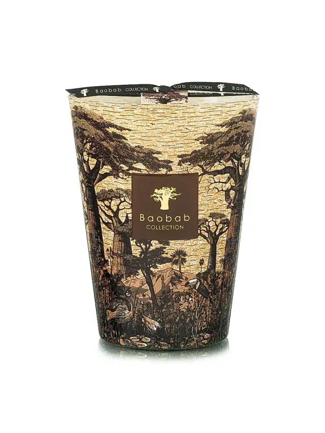 Baobab Collection Sacred Trees Mankono Scented Candle - Brown Large