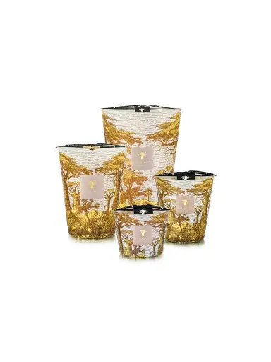 Baobab Collection Sacred Trees Boukani Scented Candle - Yellow Small | Thumbnail 3