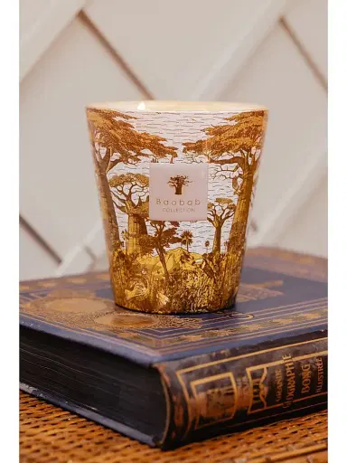 Baobab Collection Sacred Trees Boukani Scented Candle - Yellow Small | Thumbnail 4