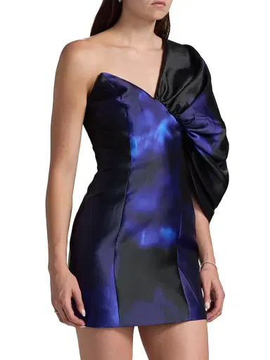 BCBGMAXAZRIA Women's Exaggerated Sleeve Minidress - Blue Rose Print - Size 8 | Thumbnail 4