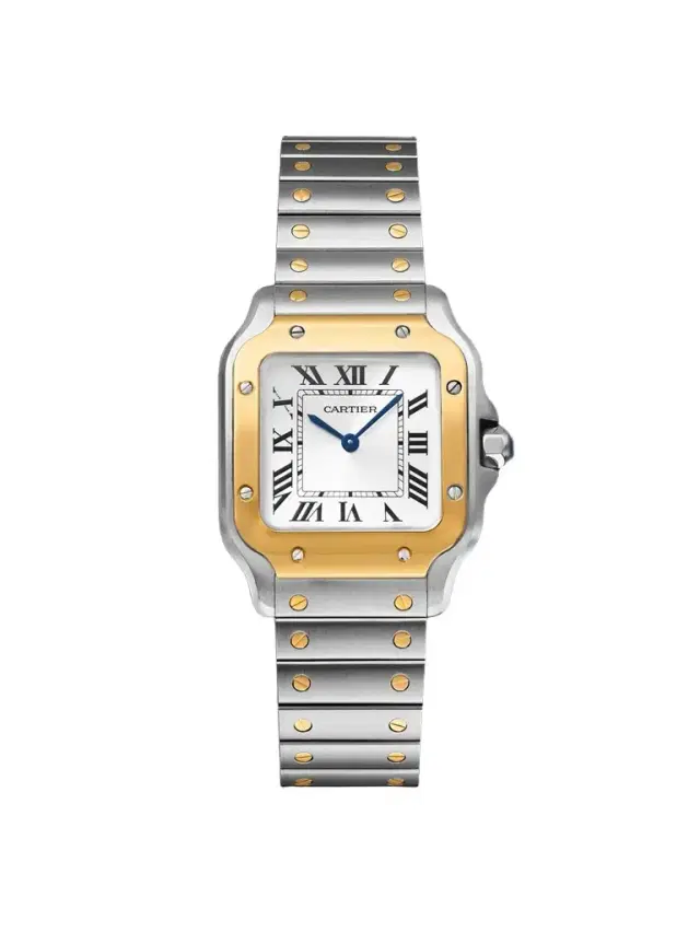 Cartier Santos de  Small Interchangeable Stainless Steel and 18-Karat Gold Watch, Ref. W2SA0033 - Men