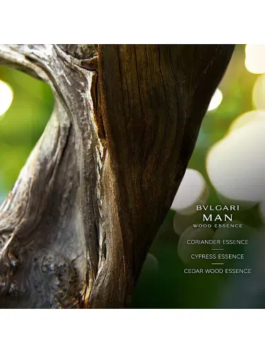 BVLGARI Men's Man Wood Essence Eau de Parfum | Thumbnail 3 BVLGARI Men's Man Wood Essence Eau de Parfum | Thumbnail 3