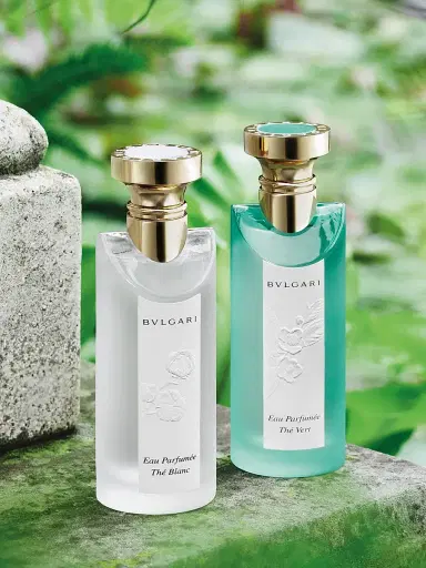 BVLGARI Eau Parfumée Thé Blanc Eau de Toilette 5 oz | Thumbnail 5 BVLGARI Eau Parfumée Thé Blanc Eau de Toilette 5 oz | Thumbnail 5