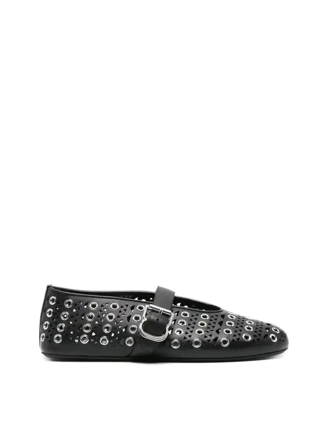 Eyelet and Vienne Leather Ballet Flats