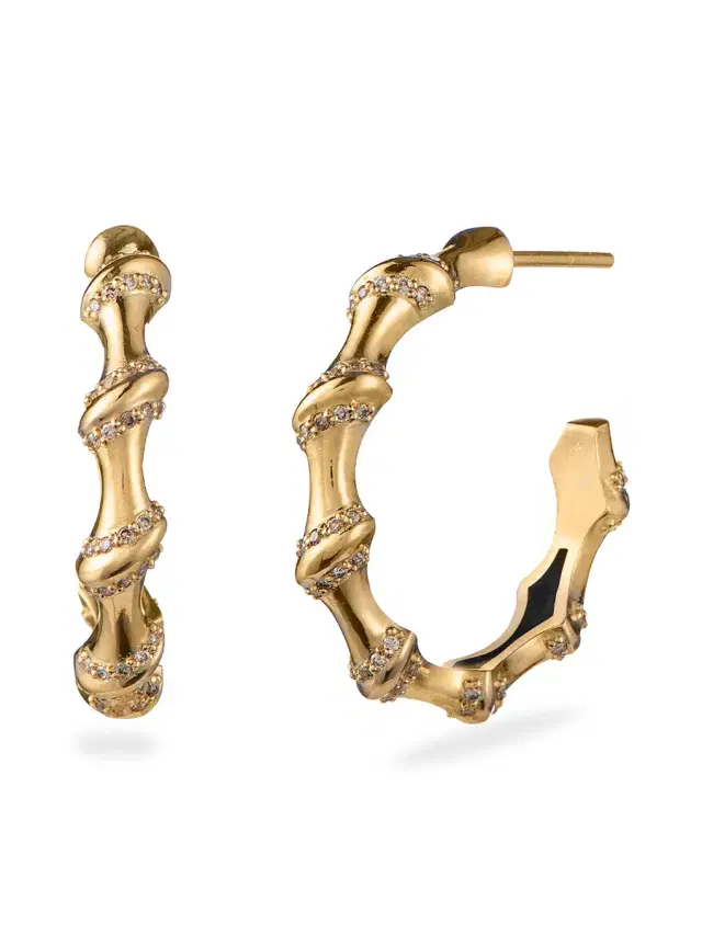 Large Bamboo II Earrings