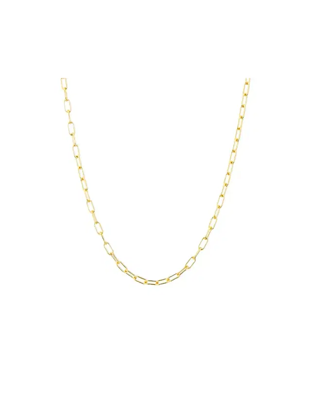 Anne Sisteron Linked Chain Lyla Necklace