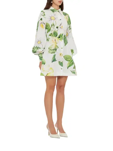 LEO LIN Luminous Linen Mini Dress | Thumbnail 2