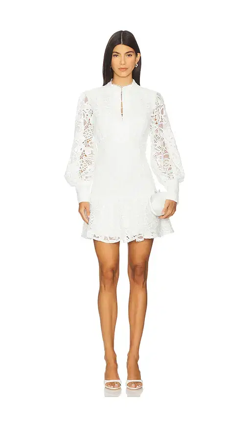 Bardot Remy Embroidered Mini Dress