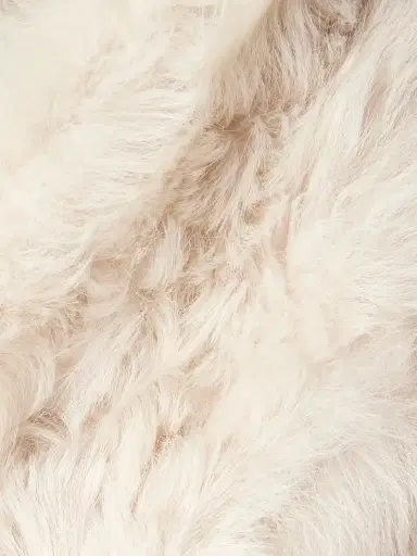 Yves Salomon Shearling Jacket | Thumbnail 5