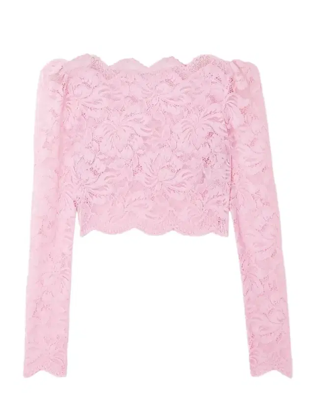 Cropped Stretch-lace Top