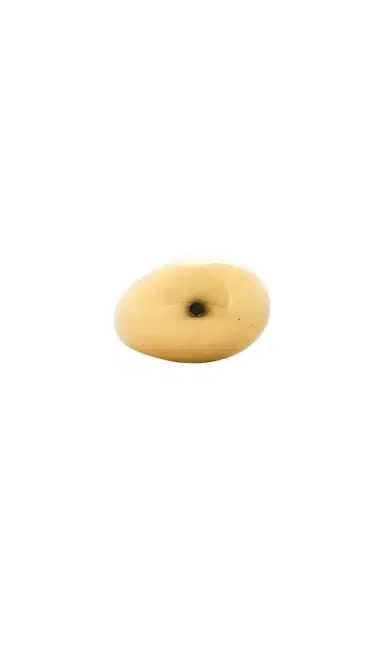 Galley Los Angeles Layla Ring | Thumbnail 1
