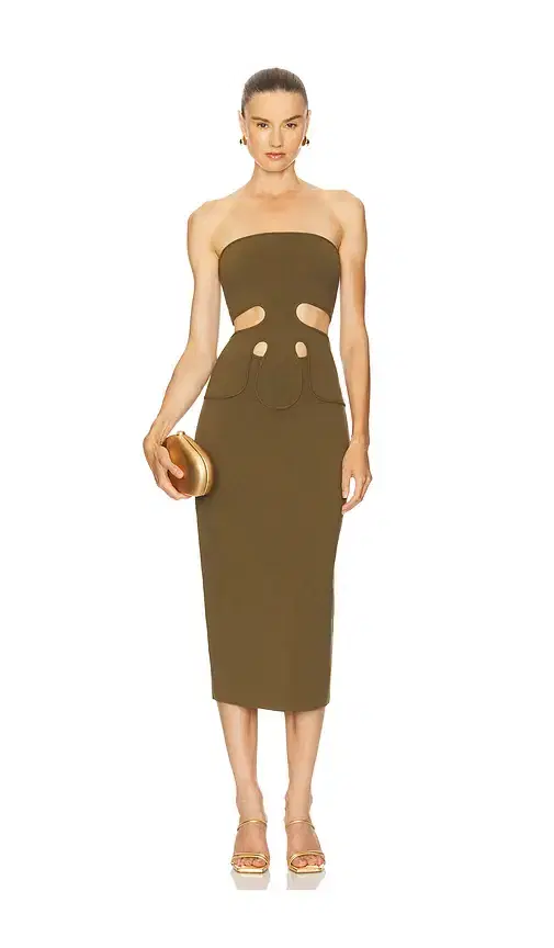 Cult Gaia Brunelo Dress