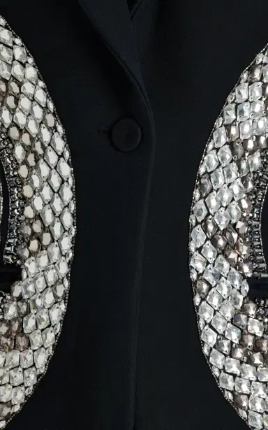 Cucculelli Shaheen Battle Royale Crystal-Embellished Silk-Wool Blazer Jacket | Thumbnail 12